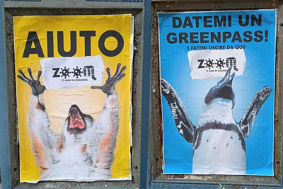 Povera costituzione! Poveri animali!