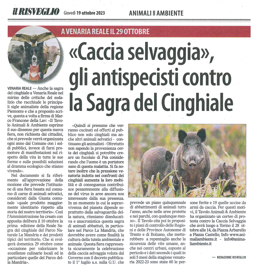 il-risveglio-19-10-2023-antispecisti-contro-la-sagra-del-cinghiale.jpg